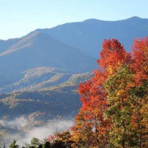 Holiday homes in Gatlinburg Tennessee