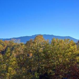 Moonshiners View Gatlinburg Tennessee