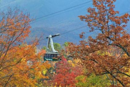 Smoky Mountain Romance Holiday home - image 4