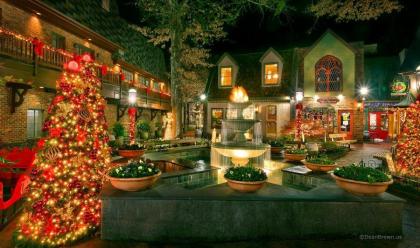 Beary Cozy Holiday home - image 20