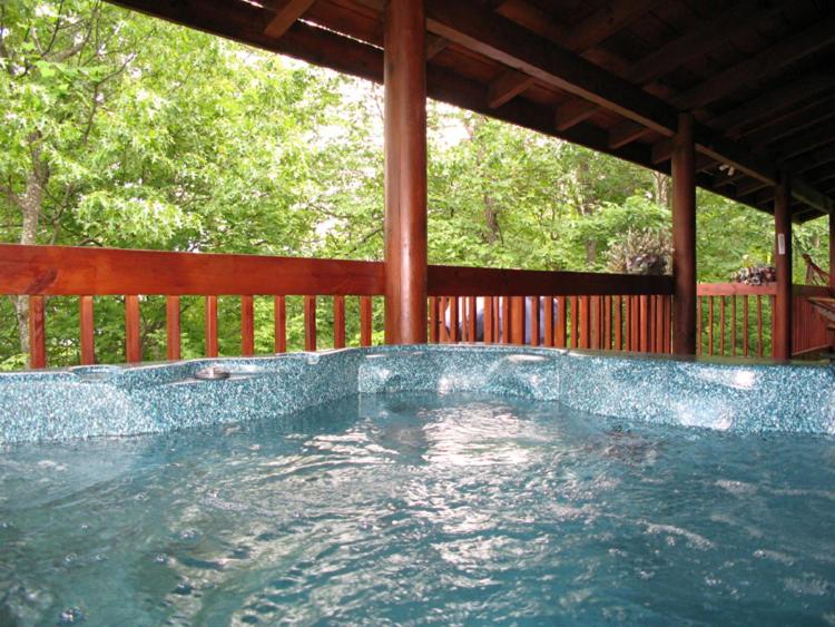 Alpine Ski Lodge 2 Bedrooms Sleeps 6 Near Ober Gatlinburg Hot Tub - image 7