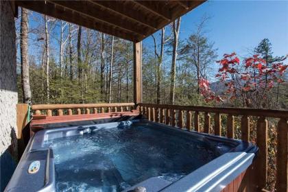 Rocky Top Lookout 4 BR Theater Arcade Bumper Pool Hot Tub Sleeps 12 - image 4