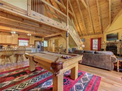 Above Ole Smoky’s Clouds 1 Bedroom Hot Tub WiFI Pets Sleeps 4 - image 13