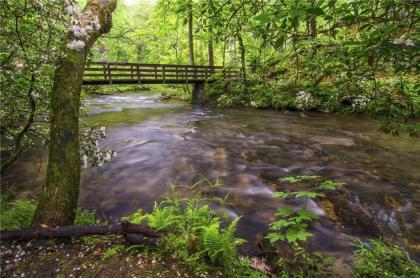 Above Ole Smoky’s Clouds 1 Bedroom Hot Tub WiFI Pets Sleeps 4 - image 7