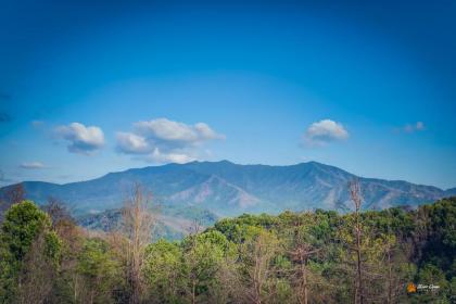 Majestic View Lodge - image 10