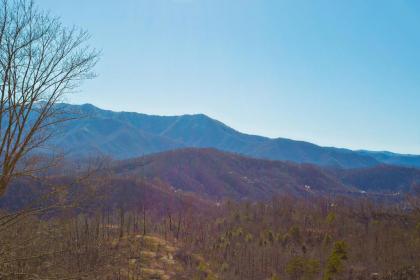 Bears Eye View - image 17