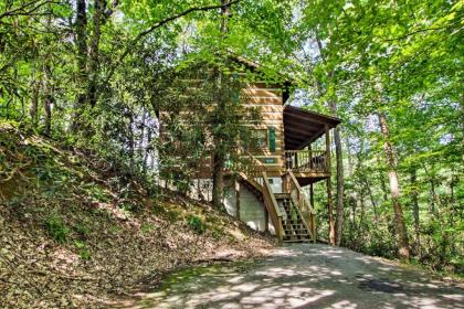 Secluded Forest Cabin - 4 Mi to Dwntwn Gatlinburg! - image 12