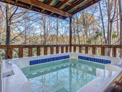 Seclusion Retreat 1 Bedroom Fireplace Hot Tub Sleeps 4 - image 10