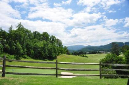 Zen Garden #1523 by Aunt Bug's Cabin Rentals - image 20