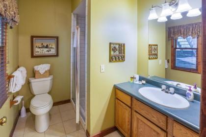 Beautiful Mountain Views and Privacy. Minutes to downtown Gatlinburg and National Park - image 7