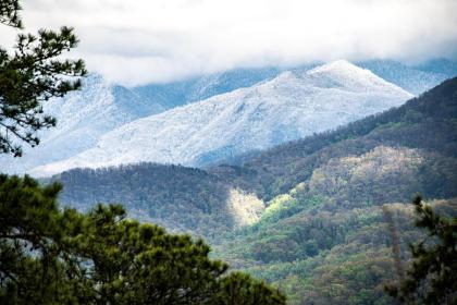 Majestic LeConte - image 17