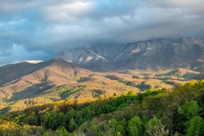 Majestic LeConte - image 19