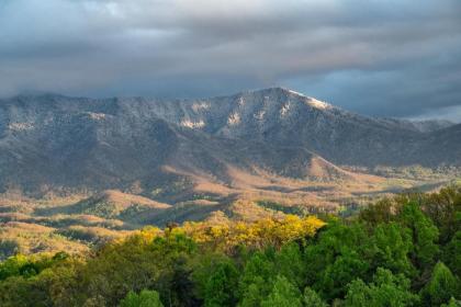 Majestic LeConte - image 20