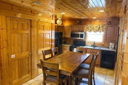 Black Bear Hideaway Cabin - image 8