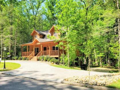 Hidden Cove Cabin - image 4