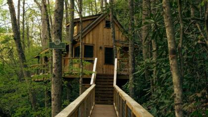 The Cedar in Treehouse Grove at Norton Creek