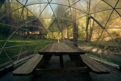 The Cedar in Treehouse Grove at Norton Creek - image 20