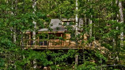 The Cedar in Treehouse Grove at Norton Creek - image 3