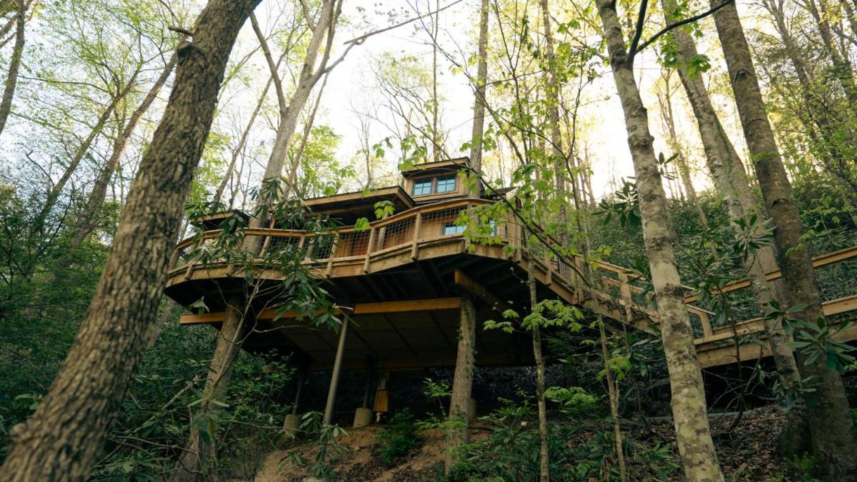 The Dogwood in Treehouse Grove at Norton Creek - main image