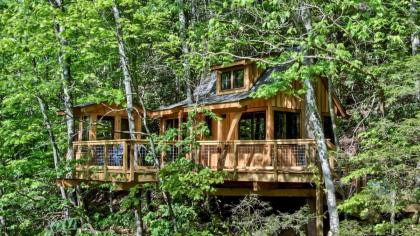 The Dogwood in Treehouse Grove at Norton Creek - image 16