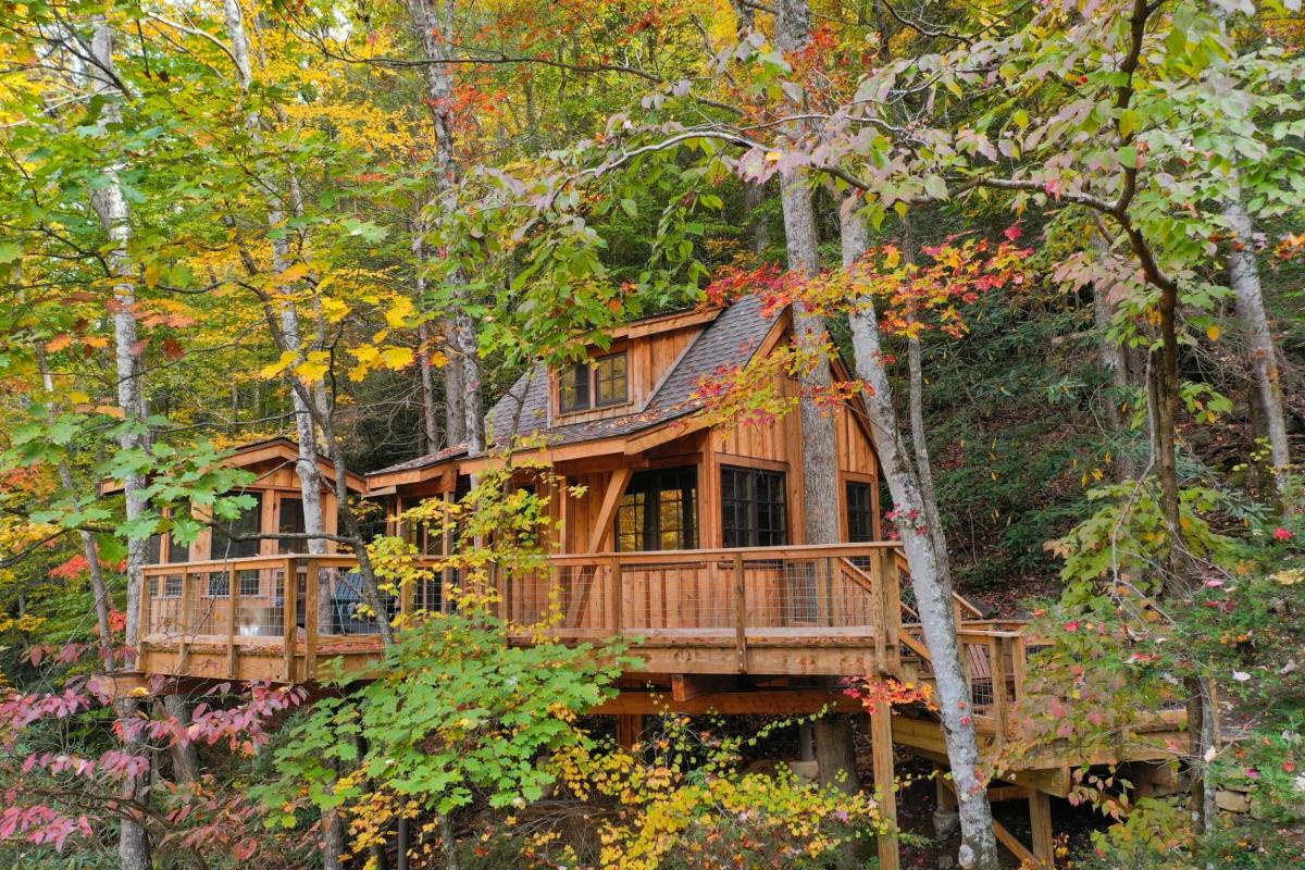 The Dogwood in Treehouse Grove at Norton Creek - image 2