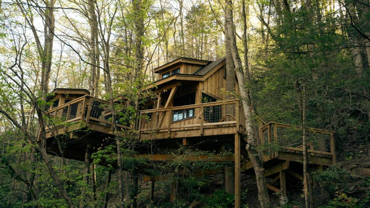 The Dogwood in Treehouse Grove at Norton Creek - image 3