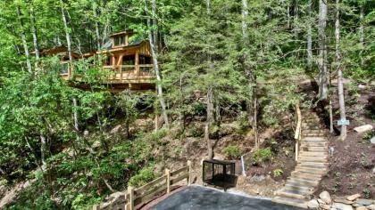 The Dogwood in Treehouse Grove at Norton Creek - image 5