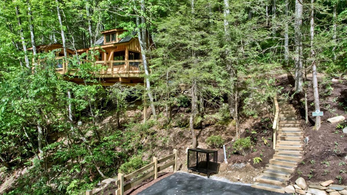 The Dogwood in Treehouse Grove at Norton Creek - image 5