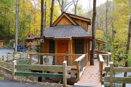 The Elm in Treehouse Grove at Norton Creek - image 2