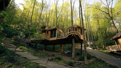 The Elm in Treehouse Grove at Norton Creek - image 3