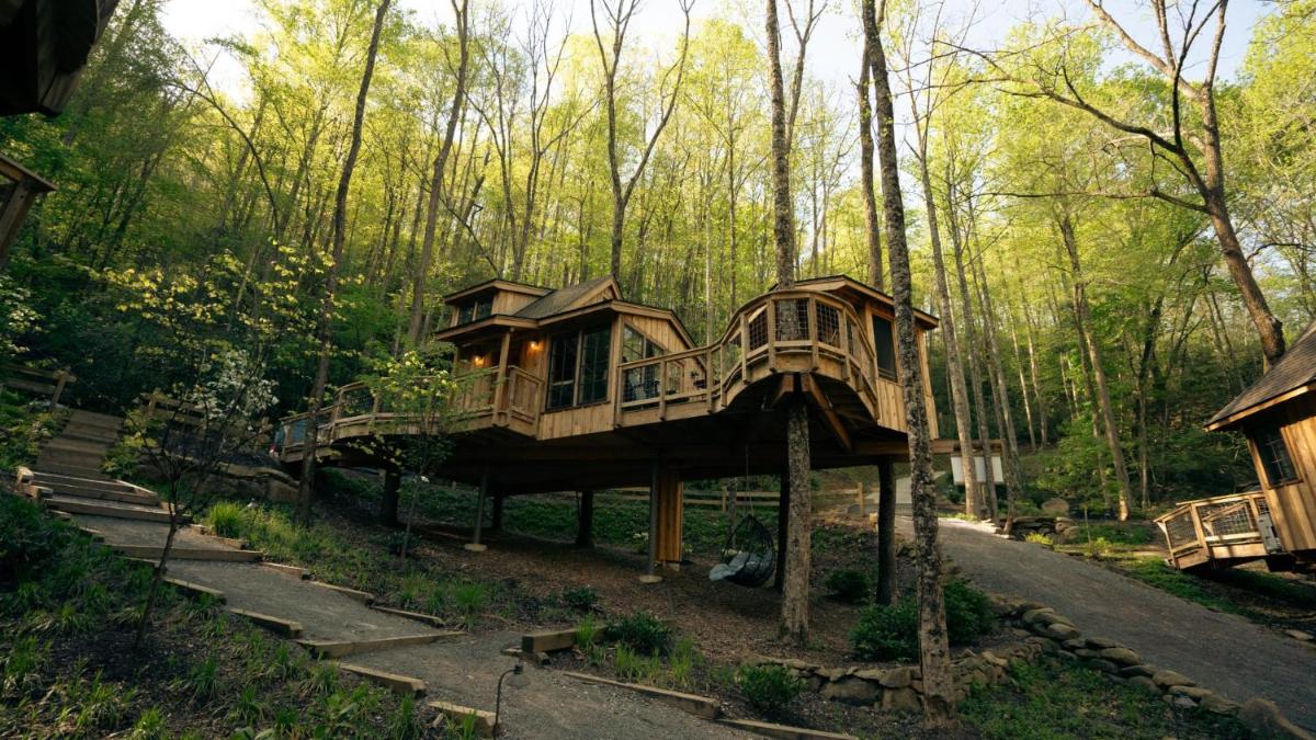 The Elm in Treehouse Grove at Norton Creek - image 3