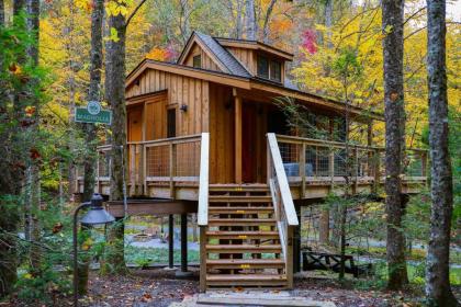 The Magnolia in Treehouse Grove at Norton Creek - image 2