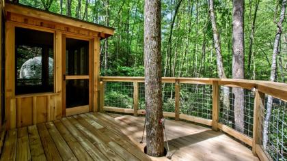 The Maple in Treehouse Grove at Norton Creek - image 10