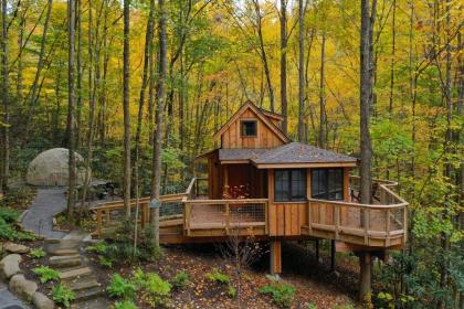 The Maple in Treehouse Grove at Norton Creek - image 2