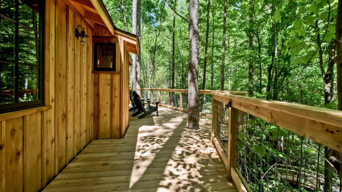 The Maple in Treehouse Grove at Norton Creek - image 7