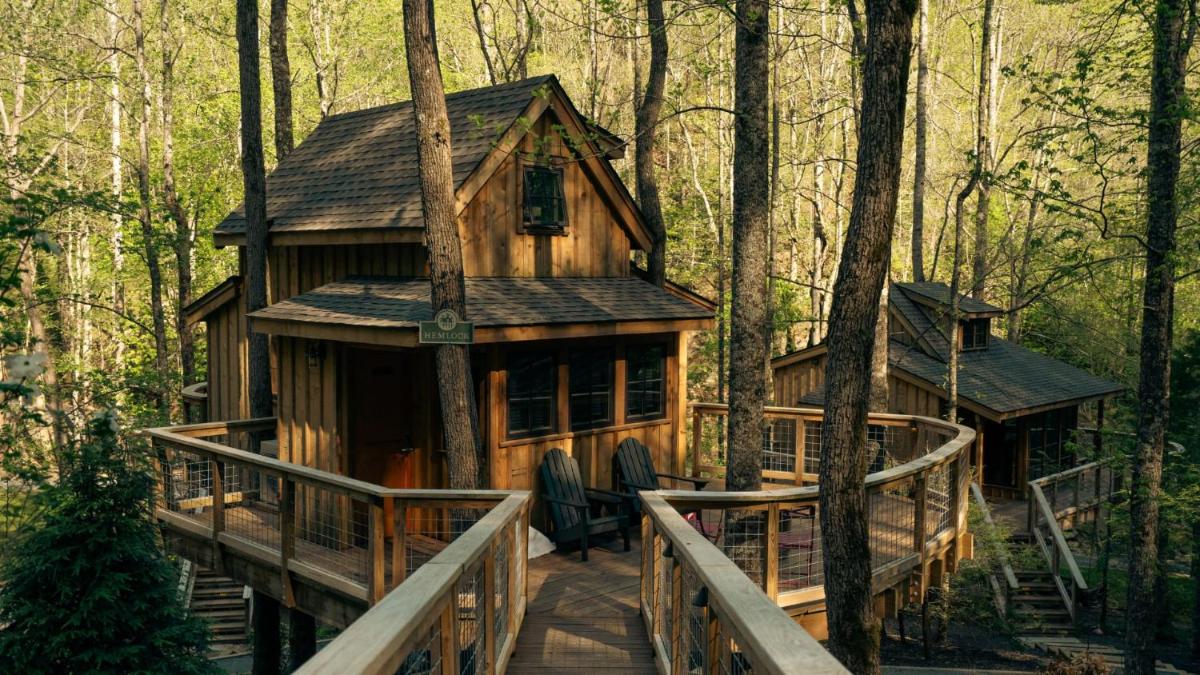 The Hemlock in Treehouse Grove at Norton Creek - main image