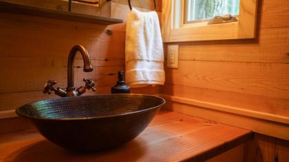 The Hemlock in Treehouse Grove at Norton Creek - image 18