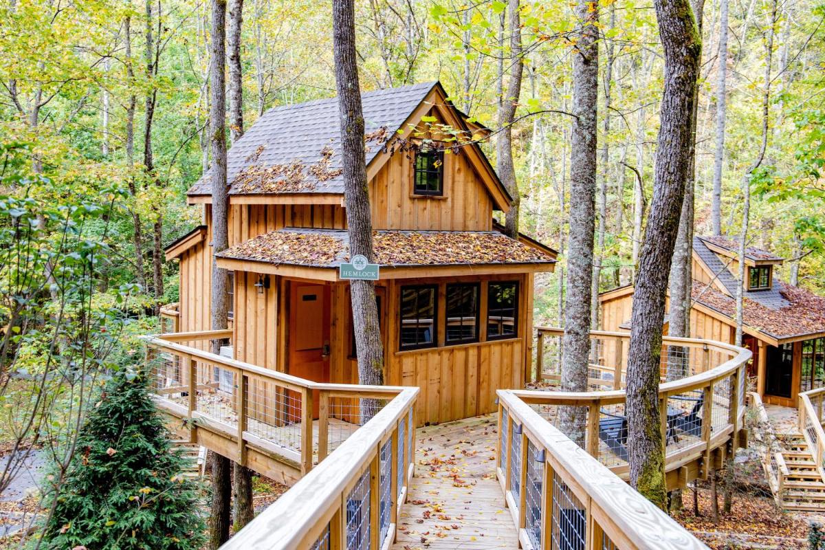 The Hemlock in Treehouse Grove at Norton Creek - image 2