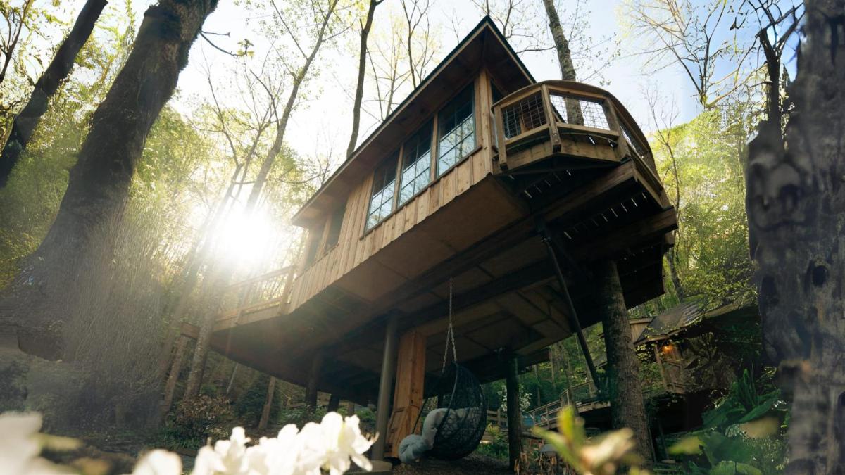 The Hemlock in Treehouse Grove at Norton Creek - image 3