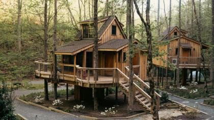 The Poplar in Treehouse Grove at Norton Creek Gatlinburg Tennessee