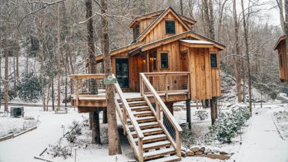 The Poplar in Treehouse Grove at Norton Creek - image 19