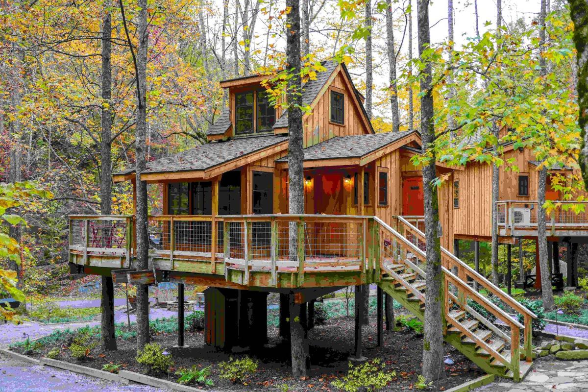 The Poplar in Treehouse Grove at Norton Creek - image 2