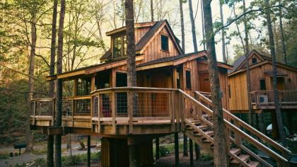 The Poplar in Treehouse Grove at Norton Creek - image 20