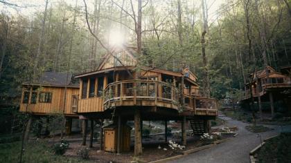 The Poplar in Treehouse Grove at Norton Creek - image 3