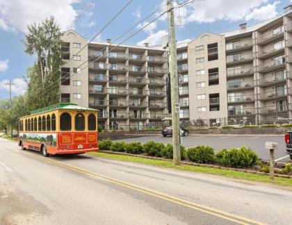 Condo 103 at Gatlingburg Downtown - image 14