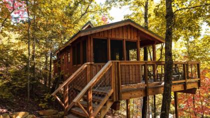 The Cherry in Treehouse Grove at Norton Creek Tennessee