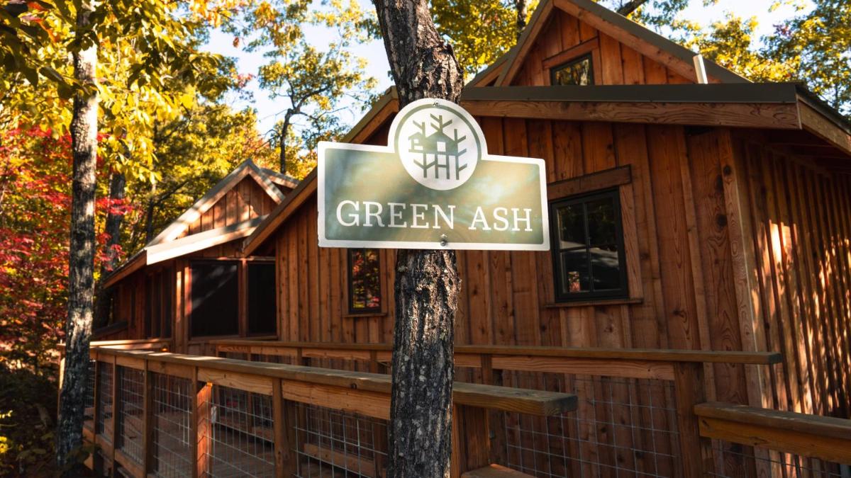 The Green Ash in Treehouse Grove at Norton Creek - main image