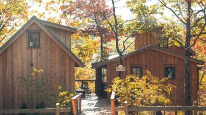 The Spruce in Treehouse Grove at Norton Creek Tennessee