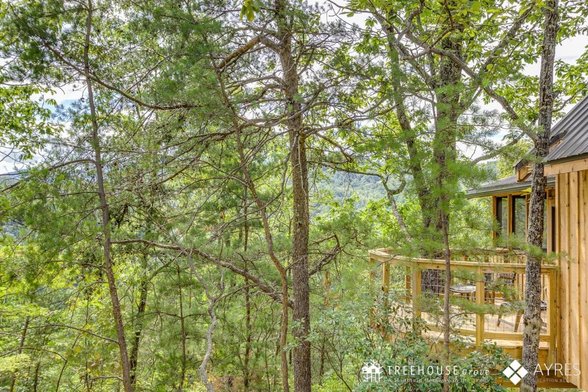 The Spruce in Treehouse Grove at Norton Creek - image 3