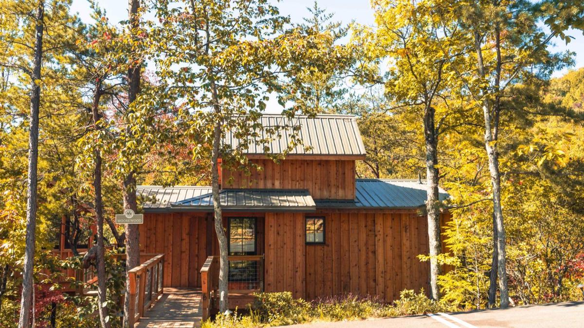 The Moosewood in Treehouse Grove at Norton Creek - main image